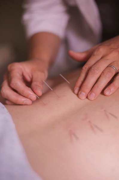 Village Acupuncture; ?>